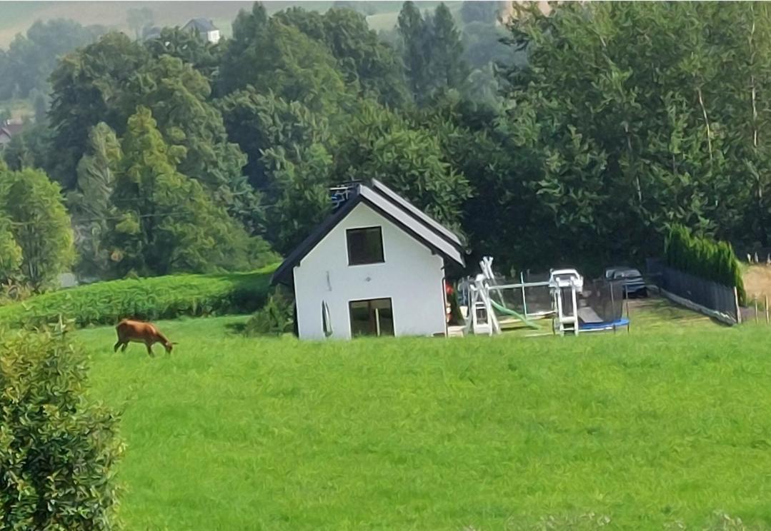 Domek Pod Holica Bieszczady Villa Ustrzyki Dolne Buitenkant foto