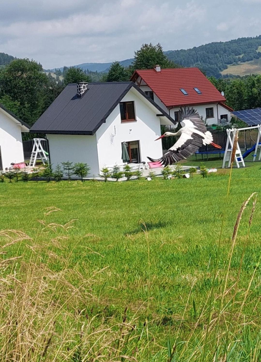 Domek Pod Holica Bieszczady Villa Ustrzyki Dolne Buitenkant foto